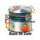 Baze de Date Bacau